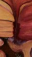 /album/%cf%86%cf%89%cf%84%ce%bf%ce%b3%ce%ba%ce%b1%ce%bb%ce%b5%cf%81%ce%af%3a-%ce%b1%cf%81%cf%87%ce%b9%ce%ba%ce%ae-%cf%83%ce%b5%ce%bb%ce%af%ce%b4%ce%b1/a10500320-822072717804934-6051622182653434677-n-jpg/